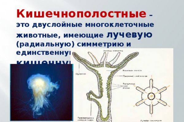 Кракен сайт официальный kraken014 com