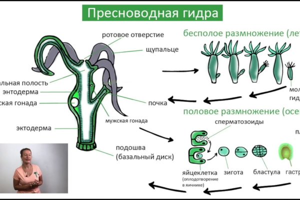 Как зарегистрироваться на кракене