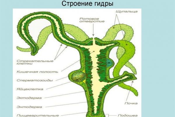 Что такое кракен площадка