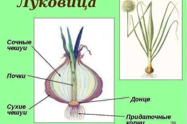 Ссылка на кракен в тор на сегодня